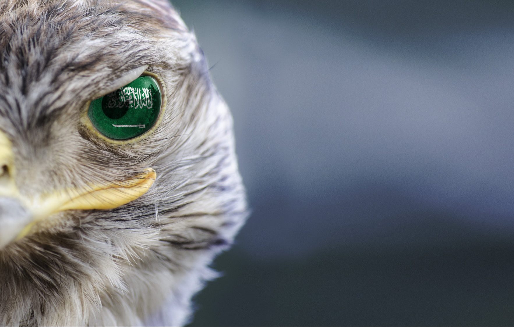 Saudi arabia flag on falcon eyes